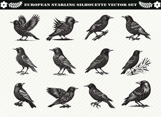 European Starling Silhouette Vector Set: 12 Dynamic Bird Designs