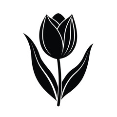 black and white tulip