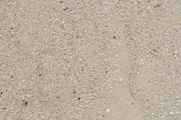 Clear Water Washing Over Fine Sand, Tranquil Coastal Scene