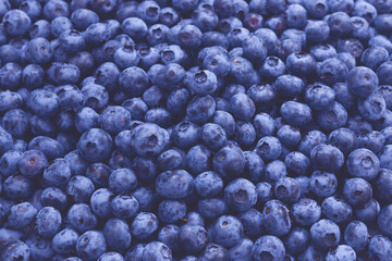 Fresh blueberry background. Texture blueberry berries close up.