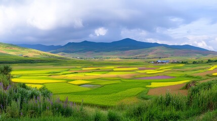 Obraz premium Vibrant Rice Terraces and Mountain Scenery in Yunnan