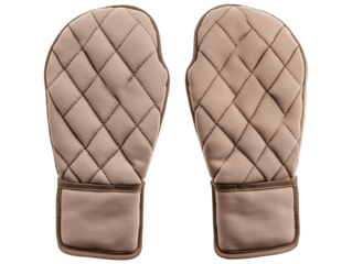 A pair of oven mitts