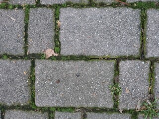 old stone pavement