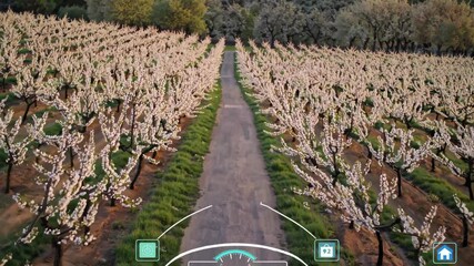 Blossoming orchard pathway with digital overlays showcasing seasonal festivities and vibrant flowers in springtime