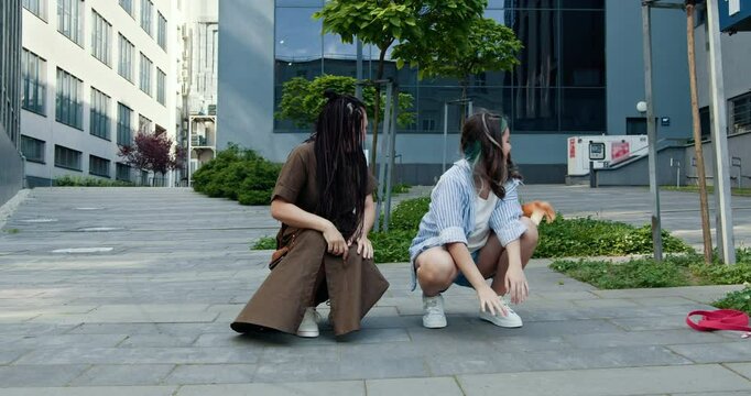 Two young women, one with braids and one with brown hair, interact with playful dog in city. Multiracial, joyful scene captures connection between people and pets on paved path.