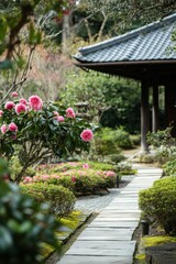 Obraz premium Camellia blooms gracefully in a traditional garden setting