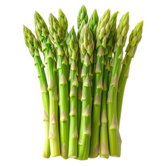 Fototapeta premium Fresh Asparagus Bunch - Spring Vegetable