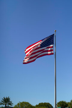 American flag waving on a tall pole against a clear blue sky, with trees and a palm tree below, Miami, FLorida, USA