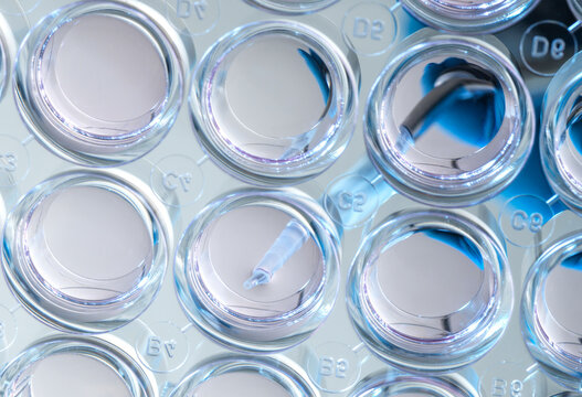 Biomedicine, Scientist preparing cells in growth medium in the lab