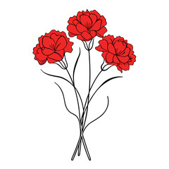 Line Drawing Red Carnations Bouquet