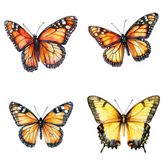 Naklejka premium Colorful butterfly species display nature preserve floral environment close-up view biodiversity concept