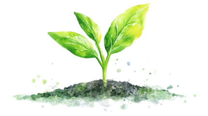 Green plant watercolor isolated on white background 