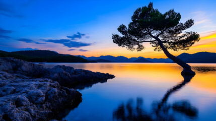 Coastal Sunrise with Silhouette Pine, Serene Sea Reflection