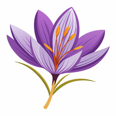 Saffron  white background 