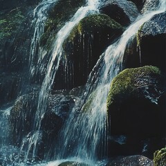 Captivating scene of a cascading waterfall flowing through a lush, moss-covered rocky landscape in a dense, tropical forest setting. The powerful.