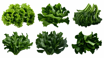 Obraz premium Fresh green leafy vegetables isolated on white background. Display of various greens. Possible use Healthy eating, dietary supplement illustration