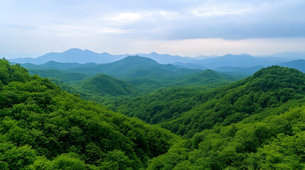 Fototapeta premium Lush green mountain range under a light cloudy sky. Possible use Nature background, desktop wallpaper