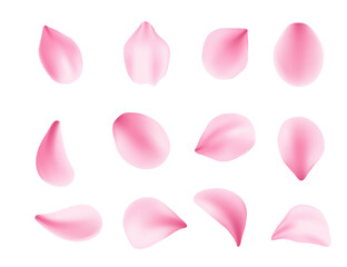 Set of soft pink petals scattered in air. 3d realistic style. Blossom Leaf collection varied shapes. Vector illustration isolated on white background