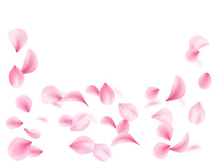 Flying soft pink petals scattered in air. 3d realistic style. Blossom Leaf collection varied shapes. Vector illustration isolated on white background