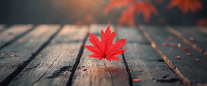 Red autumn leaf on dark rustic wooden background with ample empty space for text or graphics representation