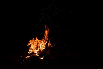 Fire flames on a black background. Burning firewood in the fireplace, close-up