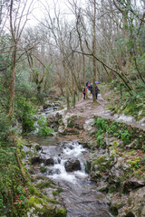 Basque Country, Spain - 25 Jan, 2025: A river runs through a forest near Zugarramurdi Caves in Navarra