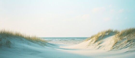 A scenic path winds through grassy dunes leading to a tranquil ocean under a clear sky, evoking serenity and escape.