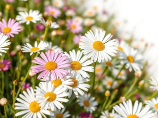 Fototapeta premium Floral Tapestry of Spring and the Hidden World of Bacteria