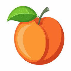 Apricot Icon with reflection on white background