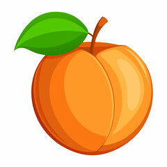 Apricot Icon with reflection on white background