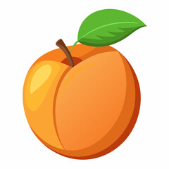 Apricot Icon with reflection on white background