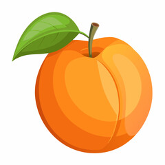 Apricot Icon with reflection on white background