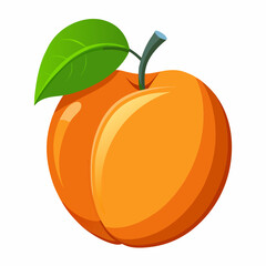 Apricot Icon with reflection on white background