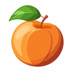 Apricot Icon with reflection on white background