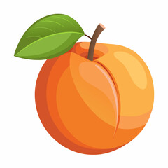 Apricot Icon with reflection on white background