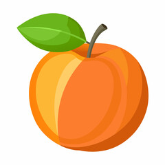 Apricot Icon with reflection on white background