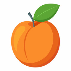 Apricot Icon with reflection on white background