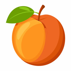Apricot Icon with reflection on white background