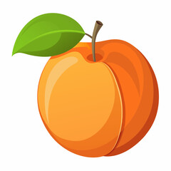 Apricot Icon with reflection on white background