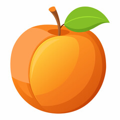 Apricot Icon with reflection on white background