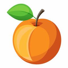 Apricot Icon with reflection on white background