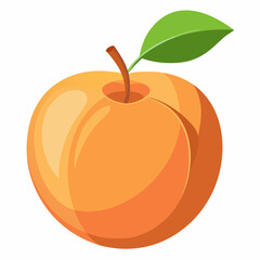 Apricot Icon with reflection on white background