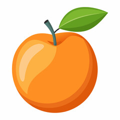Apricot Icon with reflection on white background