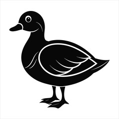 duck isolated on white background 