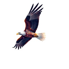 Fototapeta premium Galactic Ascent: Eagle's Ascent Through the Star-Studded Night