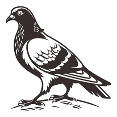 Obraz premium Creative animal icon Pigeon vector illustration 