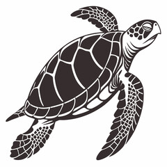 Creative animal icon Tortoise vector illustration
