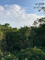 Random snapshot in Hong Kong