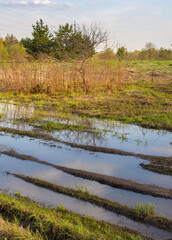 Field with a lot of grass and a few trees