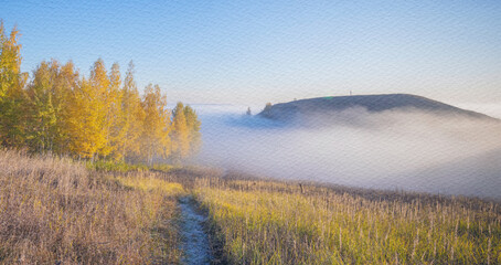 Foggy day in the countryside with a path through a field of tall grass